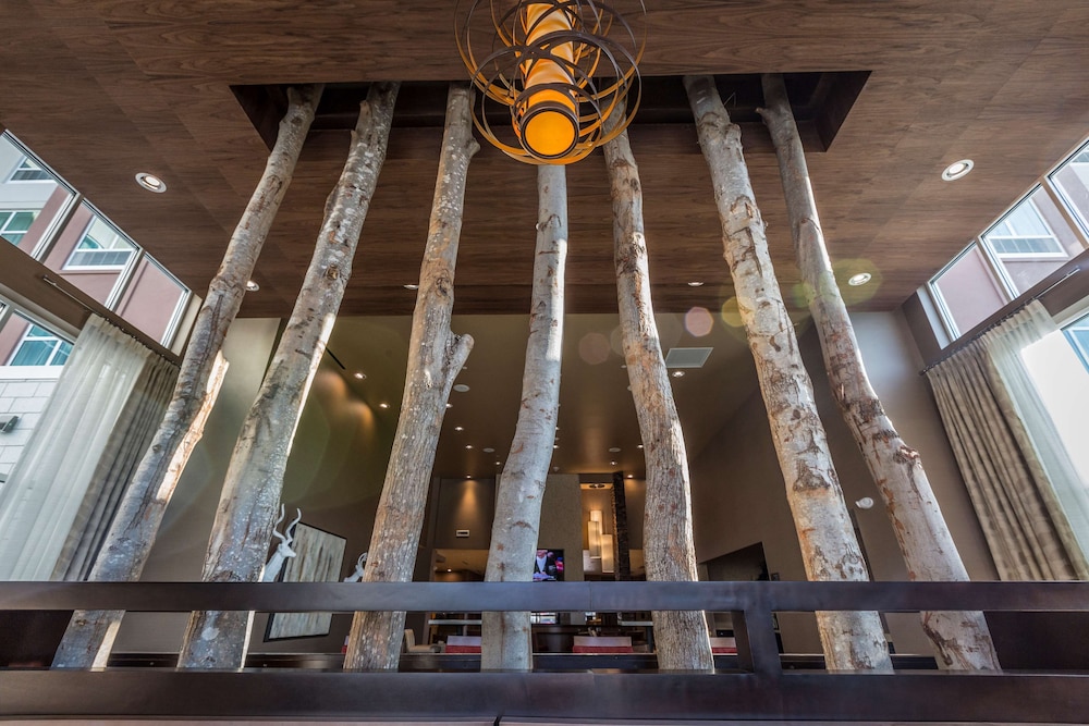 homewood suites by hilton charlotte ballantyne nc