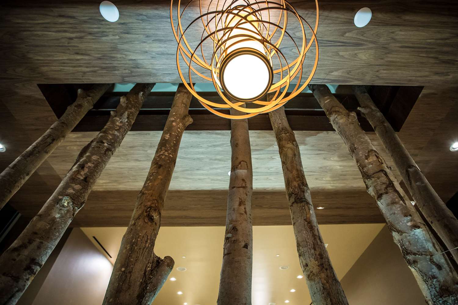 homewood suites by hilton charlotte ballantyne nc