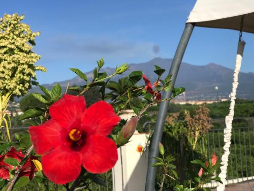 palazzo giovanni bed and breakfast