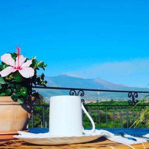 palazzo giovanni bed and breakfast