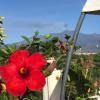 palazzo giovanni bed and breakfast