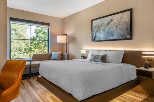 cambria hotel new haven university area