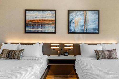 cambria hotel new haven university area