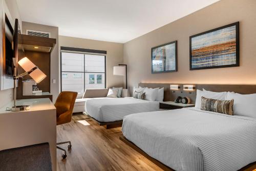 cambria hotel new haven university area