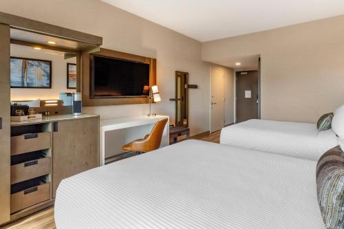 cambria hotel new haven university area