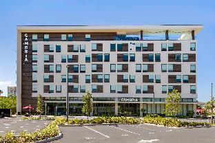 cambria hotel orlando universal blvd