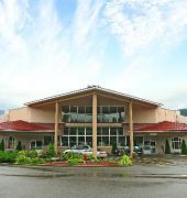 quality inn and suites