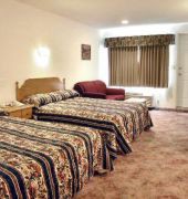quality inn and suites