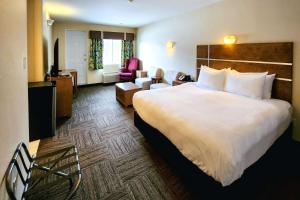 quality inn and suites