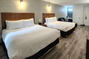 quality inn and suites