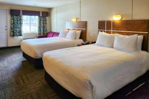 quality inn and suites