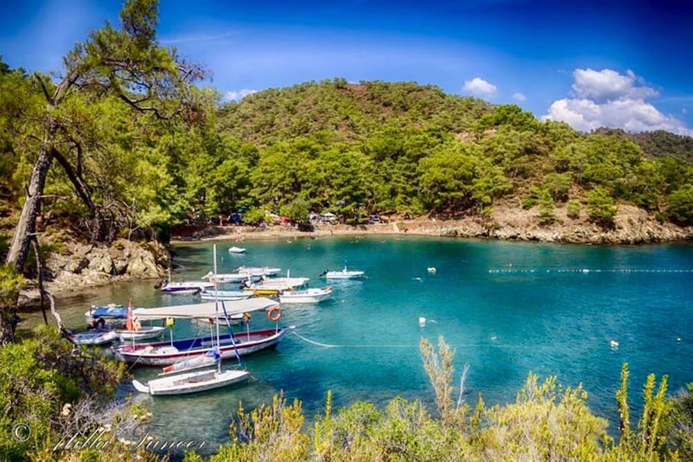 gocek