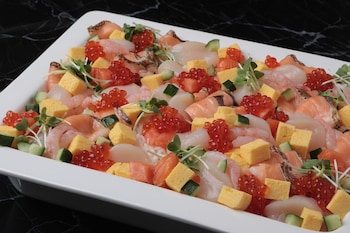 sapporo washington hotel plaza