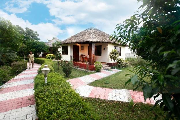 vanasthali jungle resort jim corbett