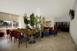 one queretaro plaza galerias