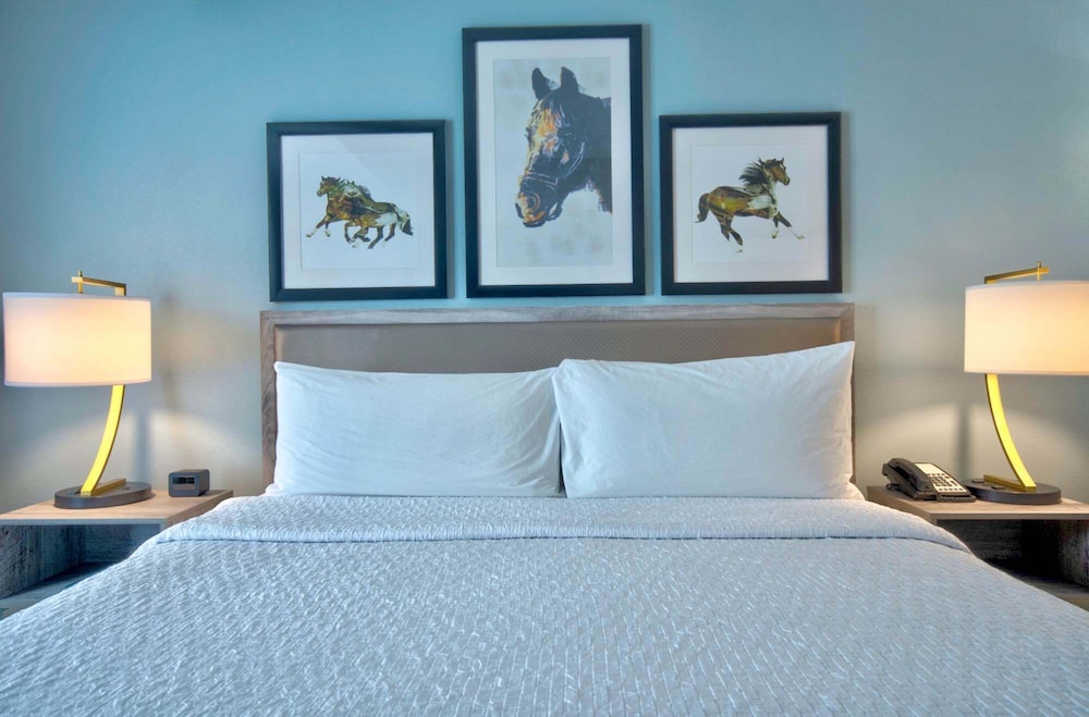 homewood suites lexington hamburg