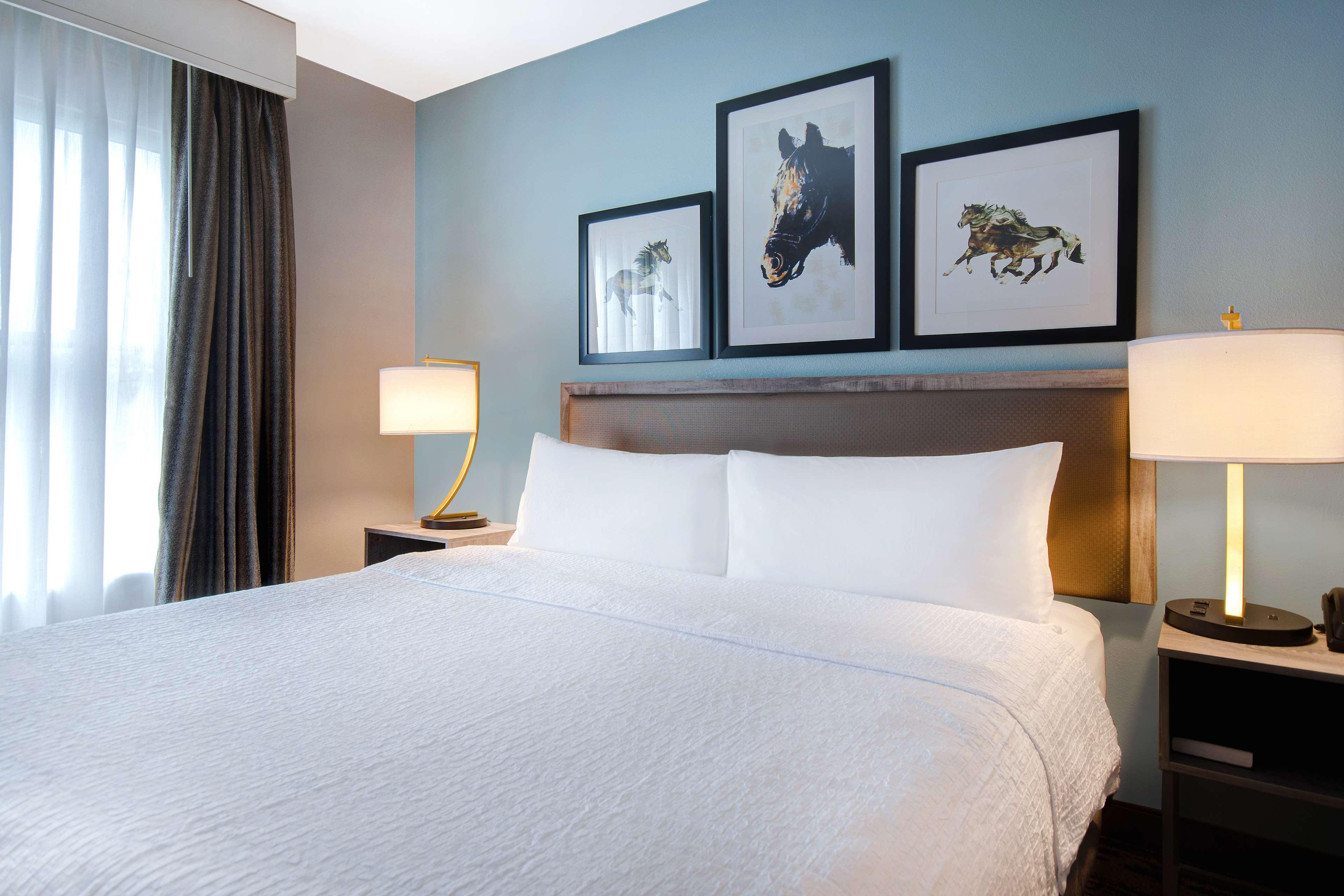 homewood suites lexington hamburg