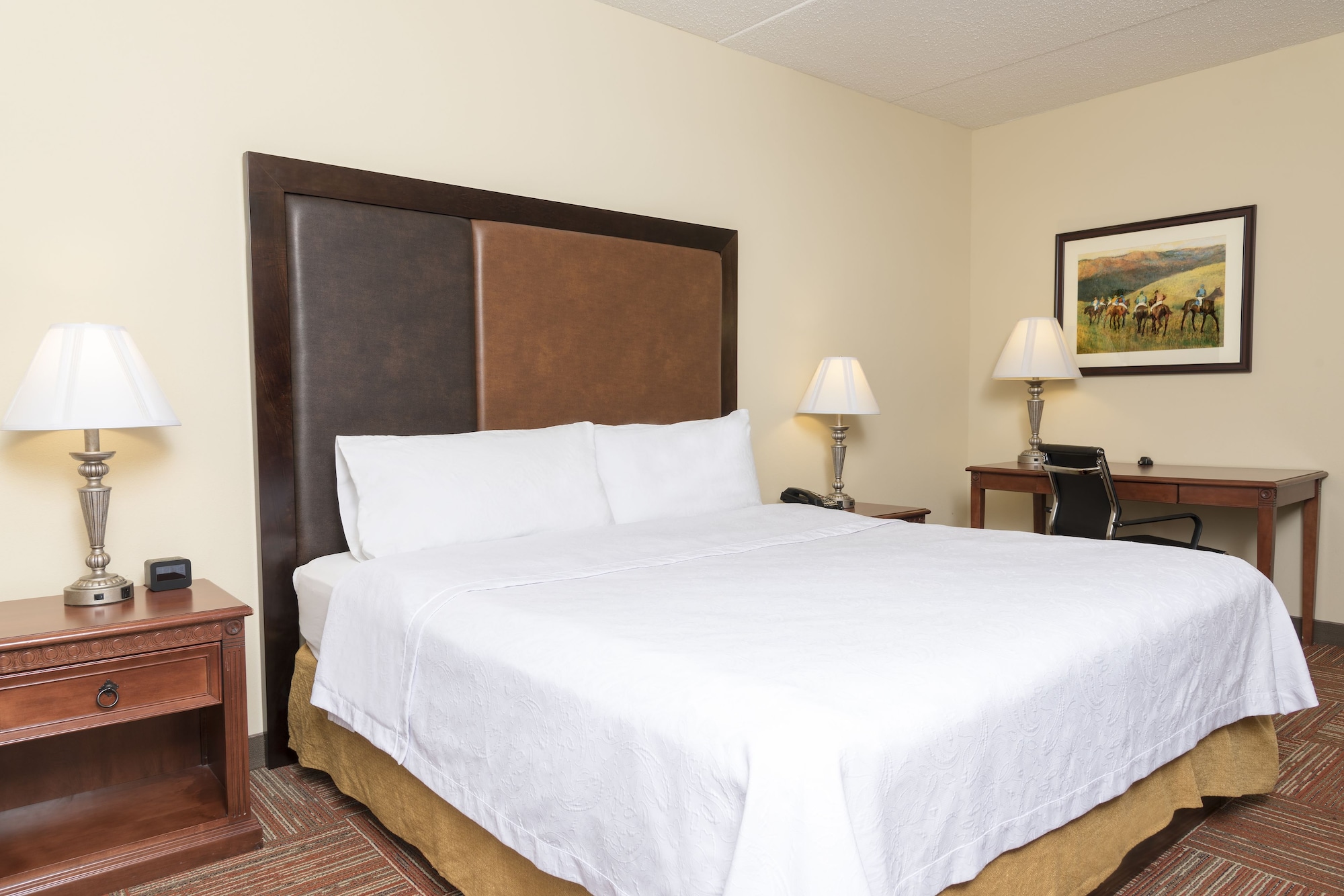homewood suites lexington hamburg