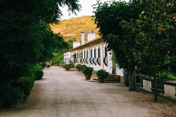 lamego