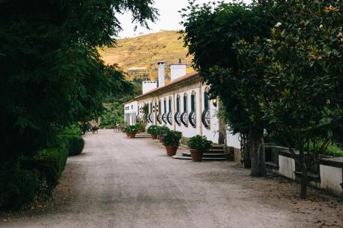 lamego