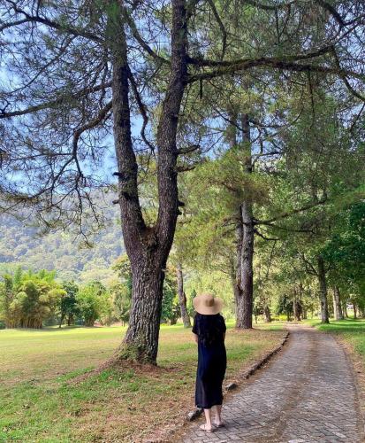 handara golf and resort bali