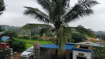 deers eco home resort