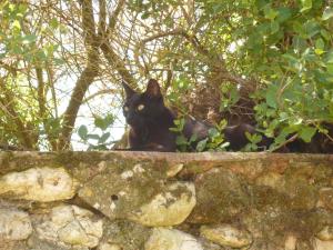 le pigeonnier du perron