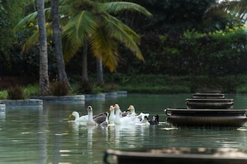 the windflower resorts and spa mysore