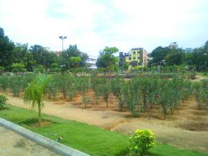 mk suites