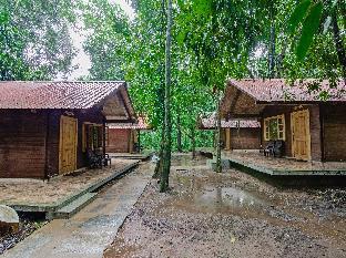 aanejari butterfly camp junglelodges