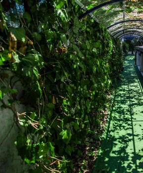 Hotel Ristorante Meson Feliz,,3 star