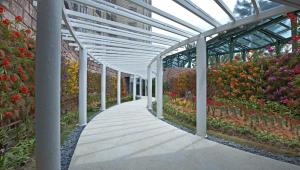 the chateau spa and wellness resort