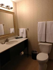 best western plus dayton hotel and suites
