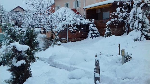 rakovica