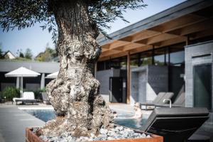 logis marne source des sens