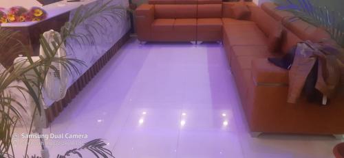 pph living s grand