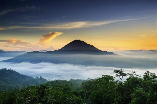 jempana view