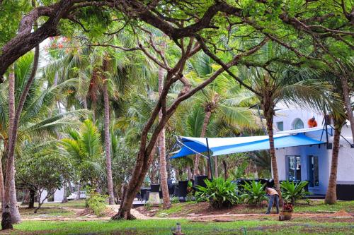 diani beach