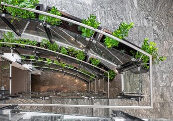 abieshomes servicedapartments schonbrunn