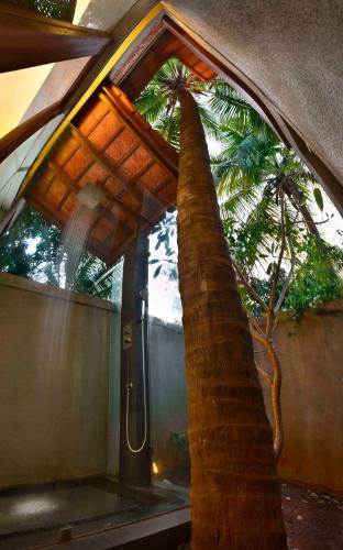 ama stays and trails the mango house alibag
