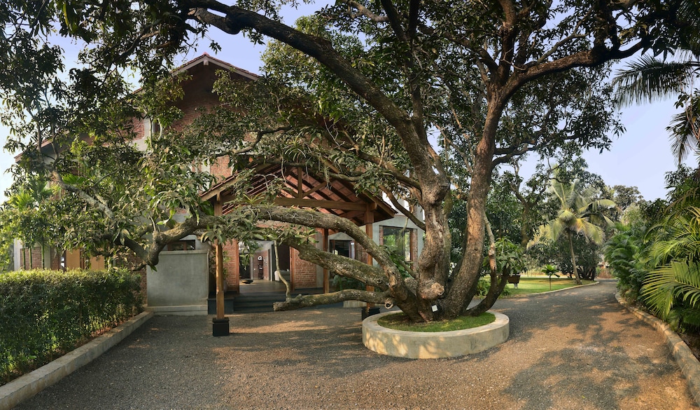 ama stays and trails the mango house alibag