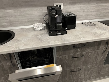 amazing 2 room penthouse cityview w13