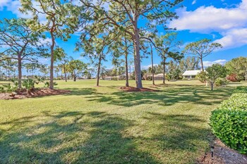 cape coral