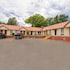 sunflower motel