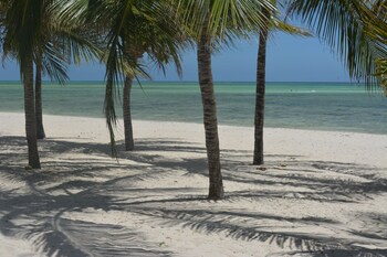twiga beach and spa