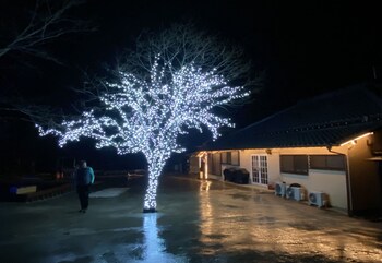 one night one view one destiny ichihara campsite