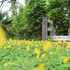 casa basilisa eco boutique resort by cocotel