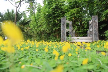 casa basilisa eco boutique resort by cocotel
