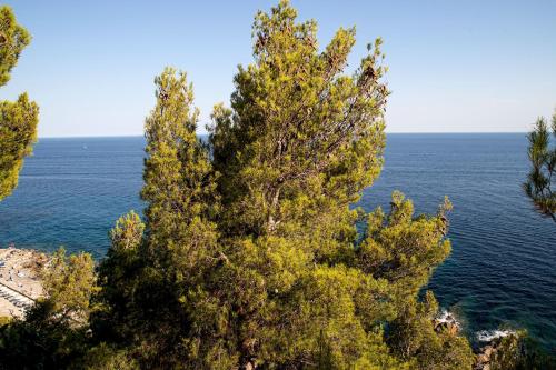 sanremo