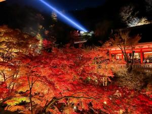 rinn gion shirakawa